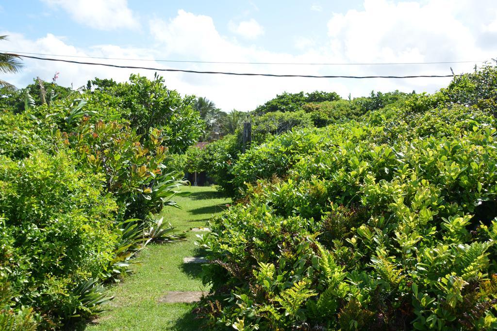Casa Da Ilha Do Mel - Pousada De Charme Экстерьер фото